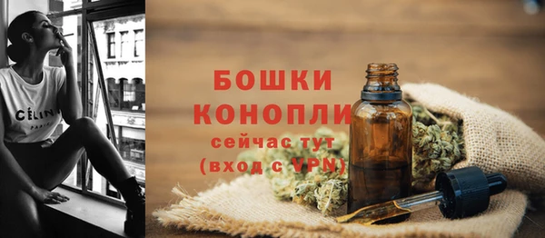 a pvp Гусь-Хрустальный