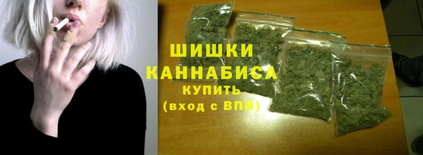 apvp Гусиноозёрск